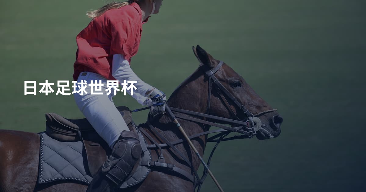 日本足球世界杯