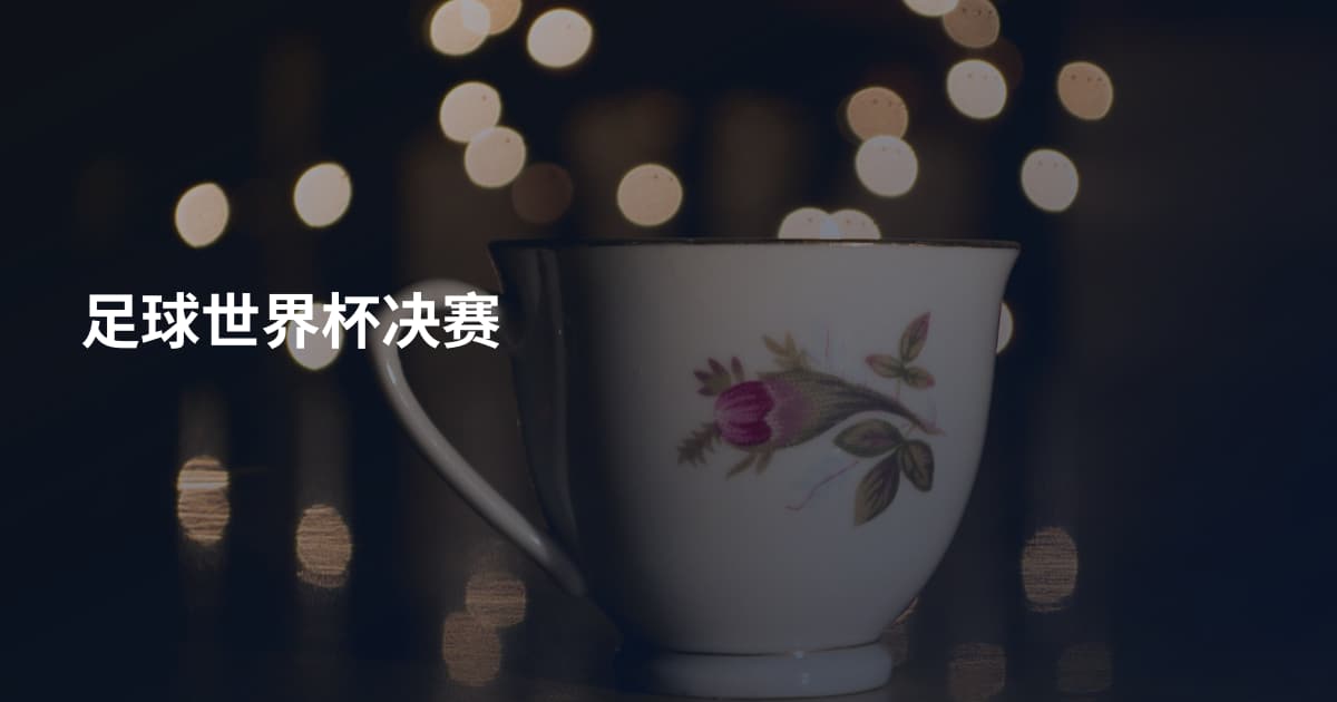 足球世界杯决赛