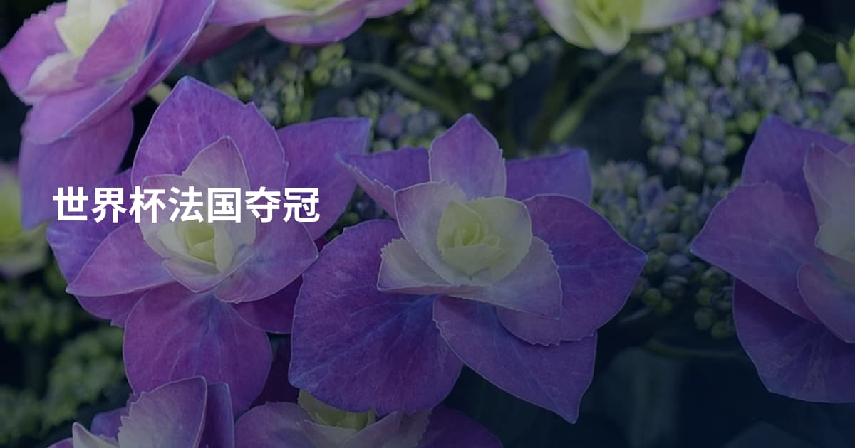 世界杯法国夺冠