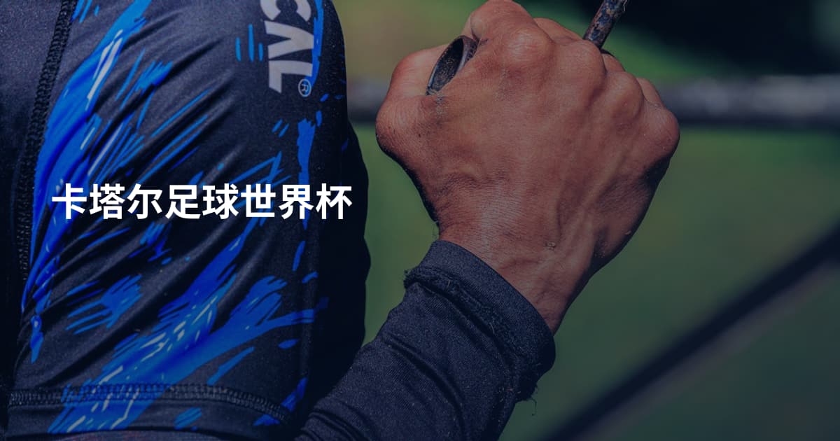 卡塔尔足球世界杯