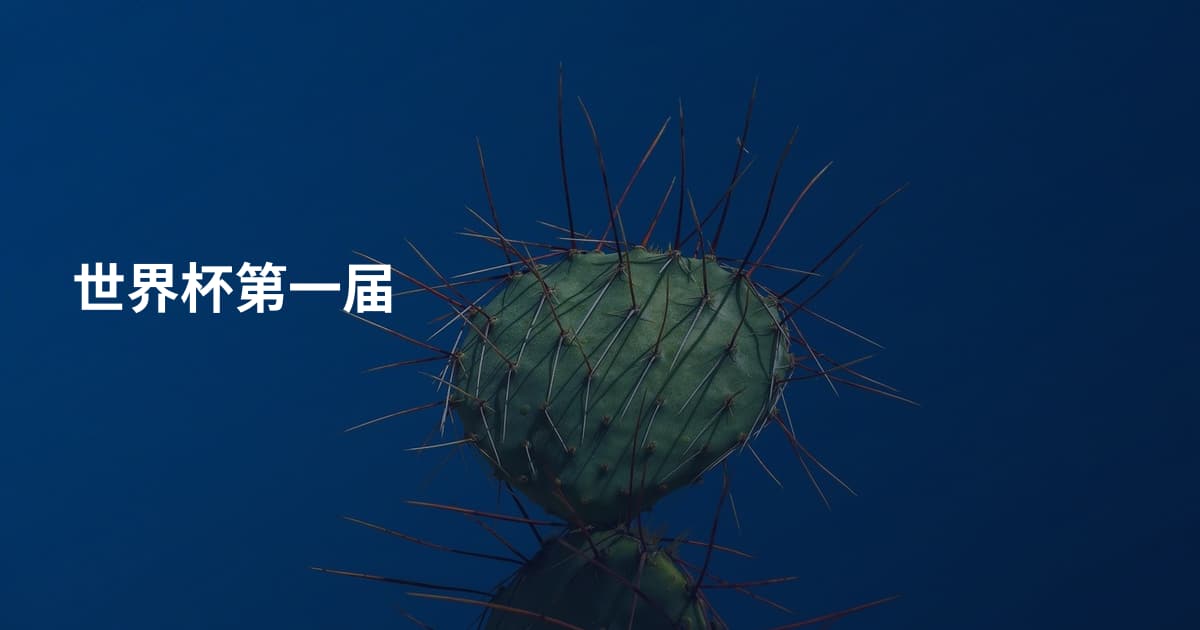 世界杯第一届