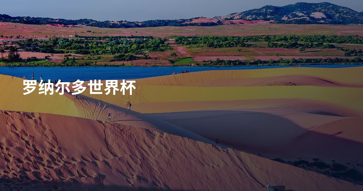 罗纳尔多世界杯