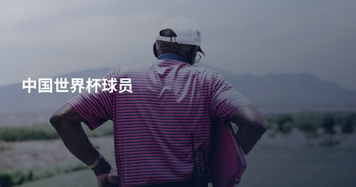 中国世界杯球员
