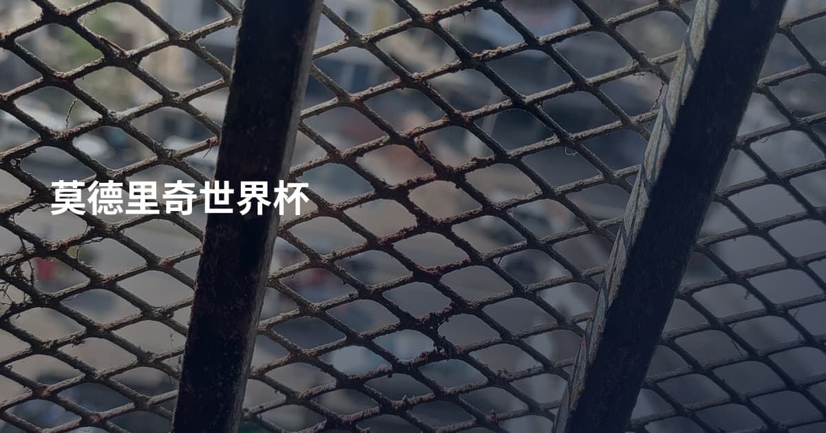 莫德里奇世界杯
