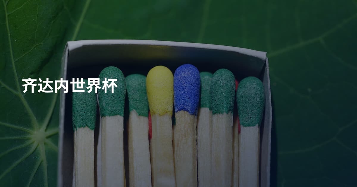 齐达内世界杯