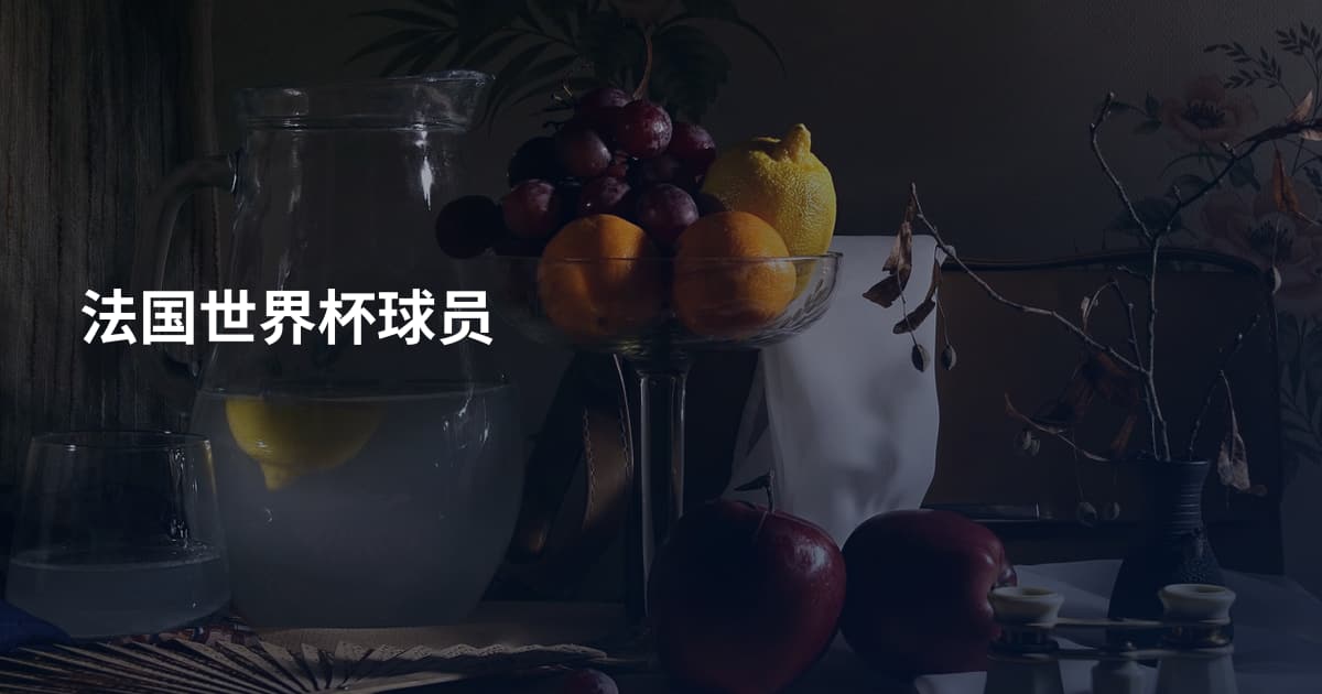法国世界杯球员