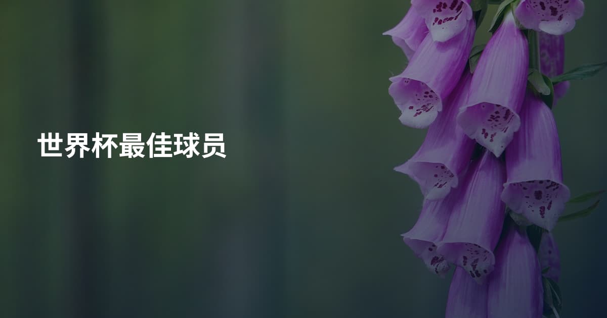 世界杯最佳球员