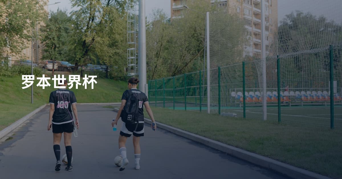 罗本世界杯
