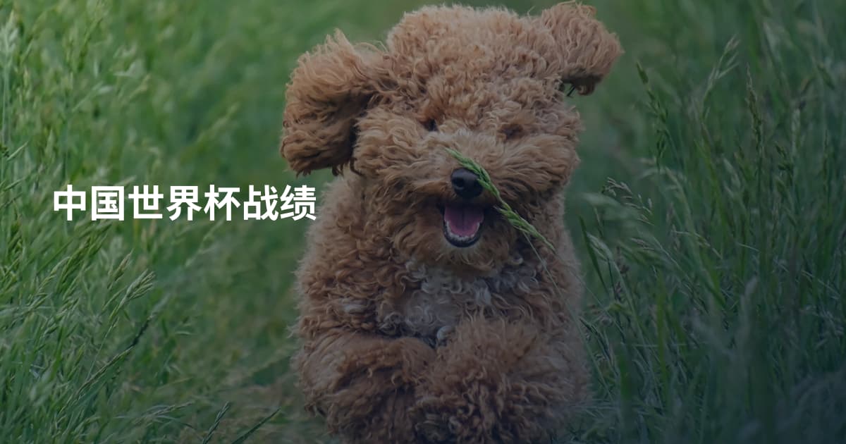 中国世界杯战绩