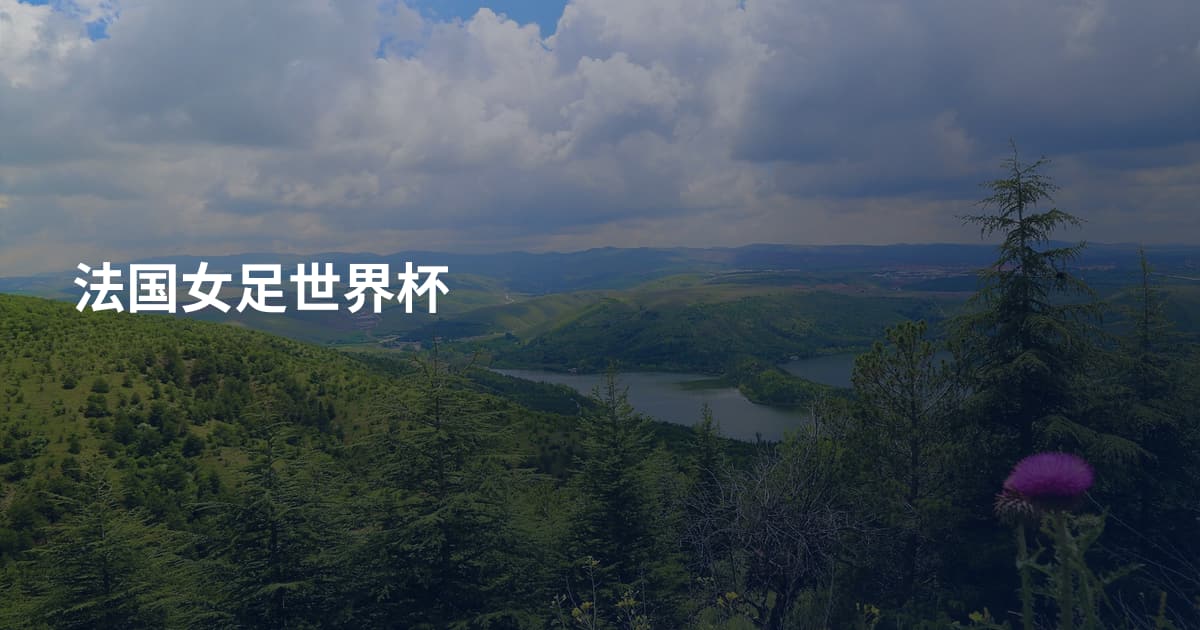 法国女足世界杯