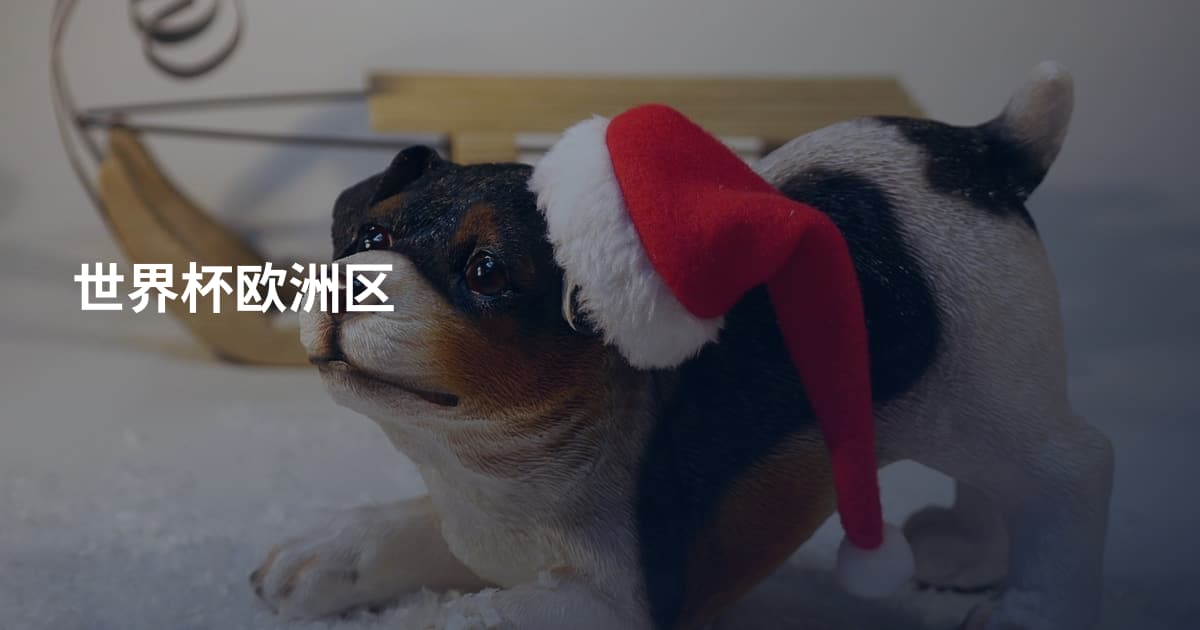 世界杯欧洲区