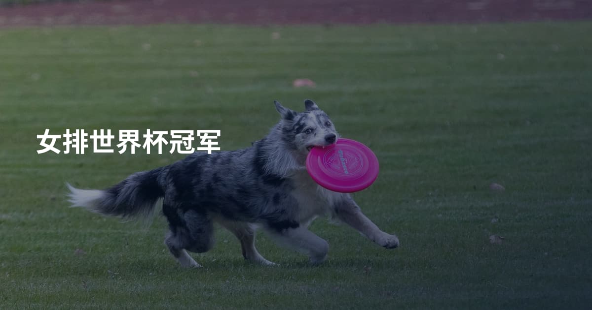 女排世界杯冠军