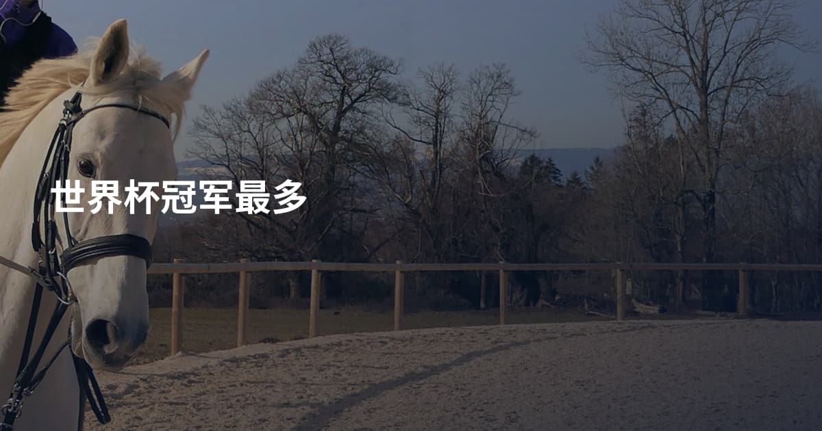 世界杯冠军最多