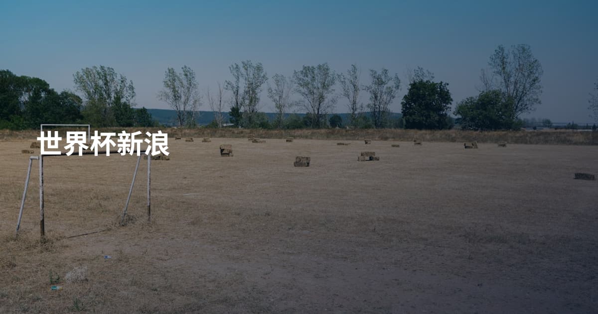 世界杯新浪