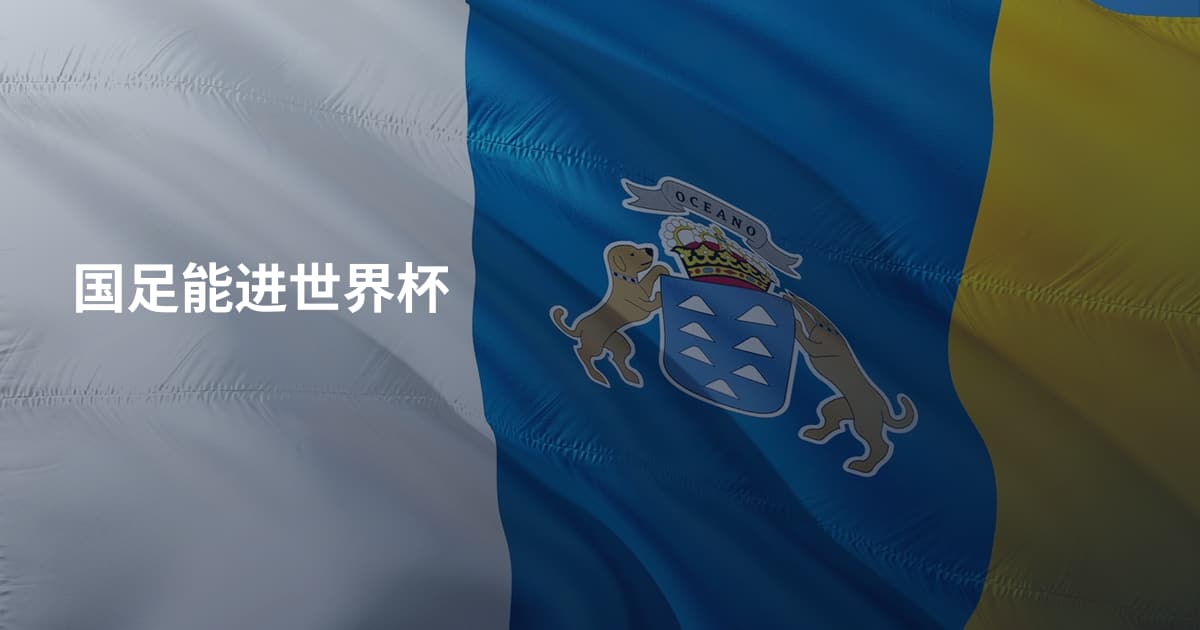 国足能进世界杯