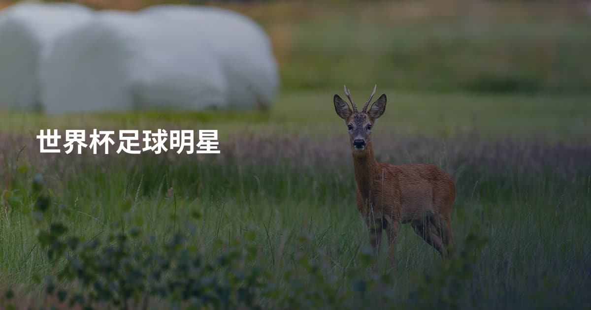 世界杯足球明星