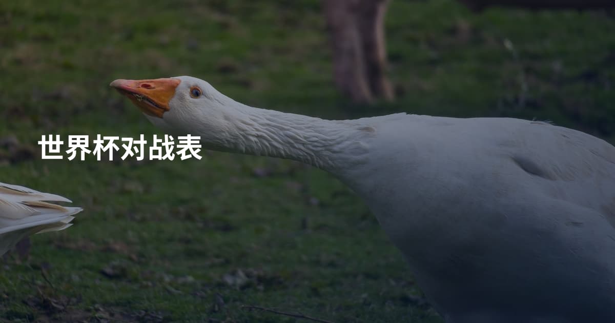 世界杯对战表