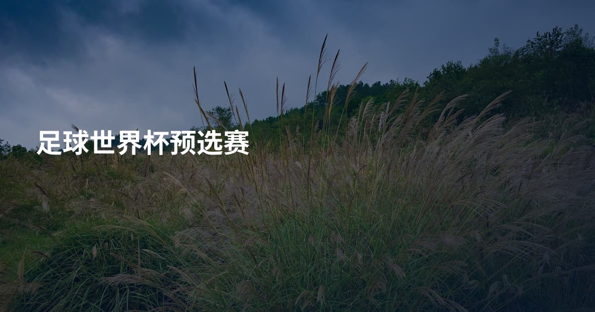 足球世界杯预选赛