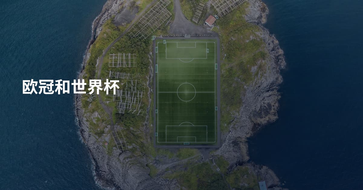 欧冠和世界杯