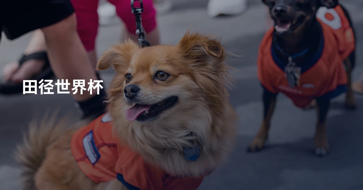 田径世界杯