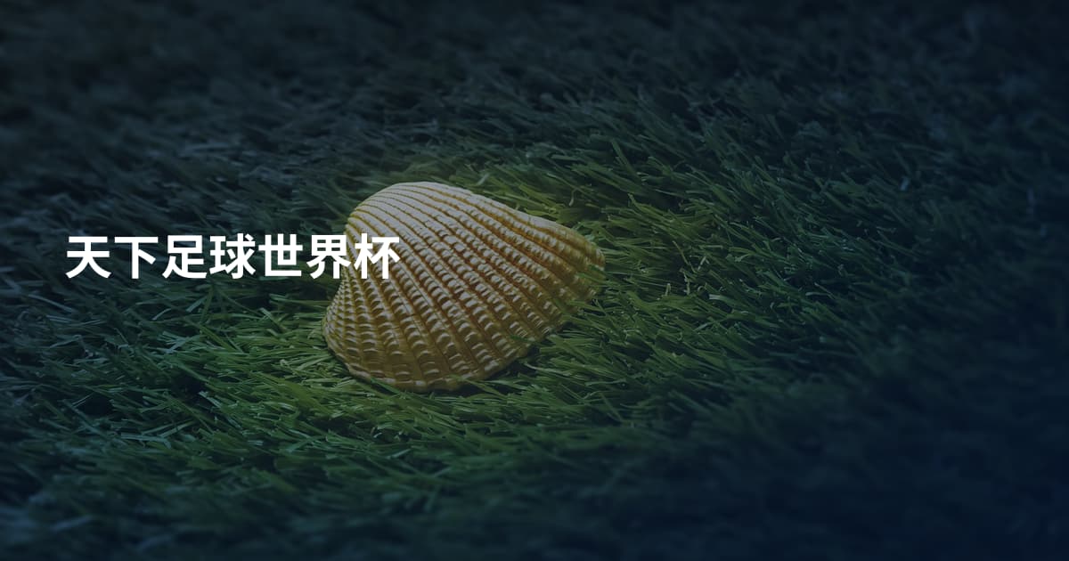 天下足球世界杯