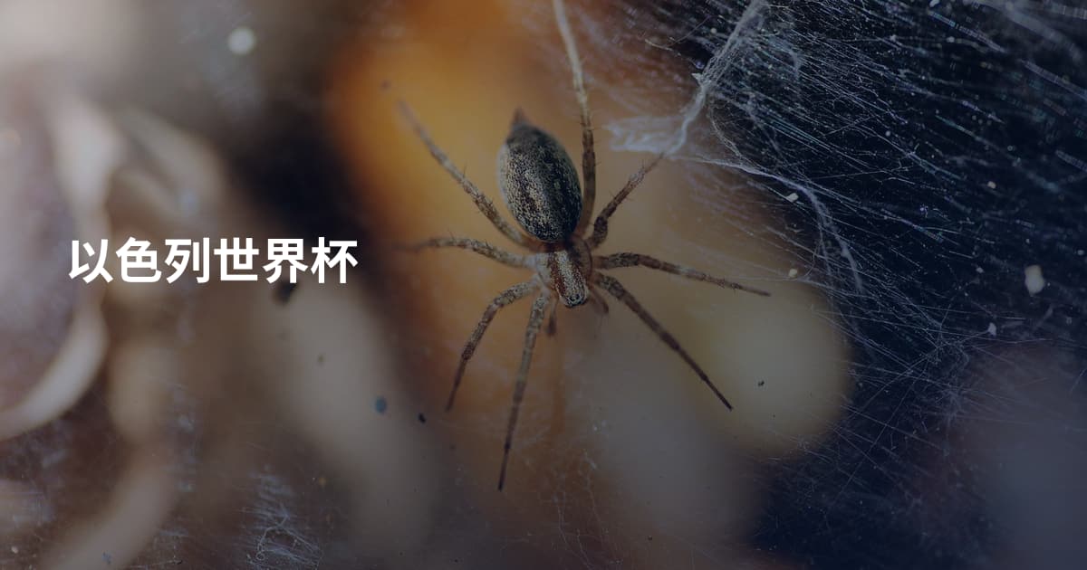 以色列世界杯