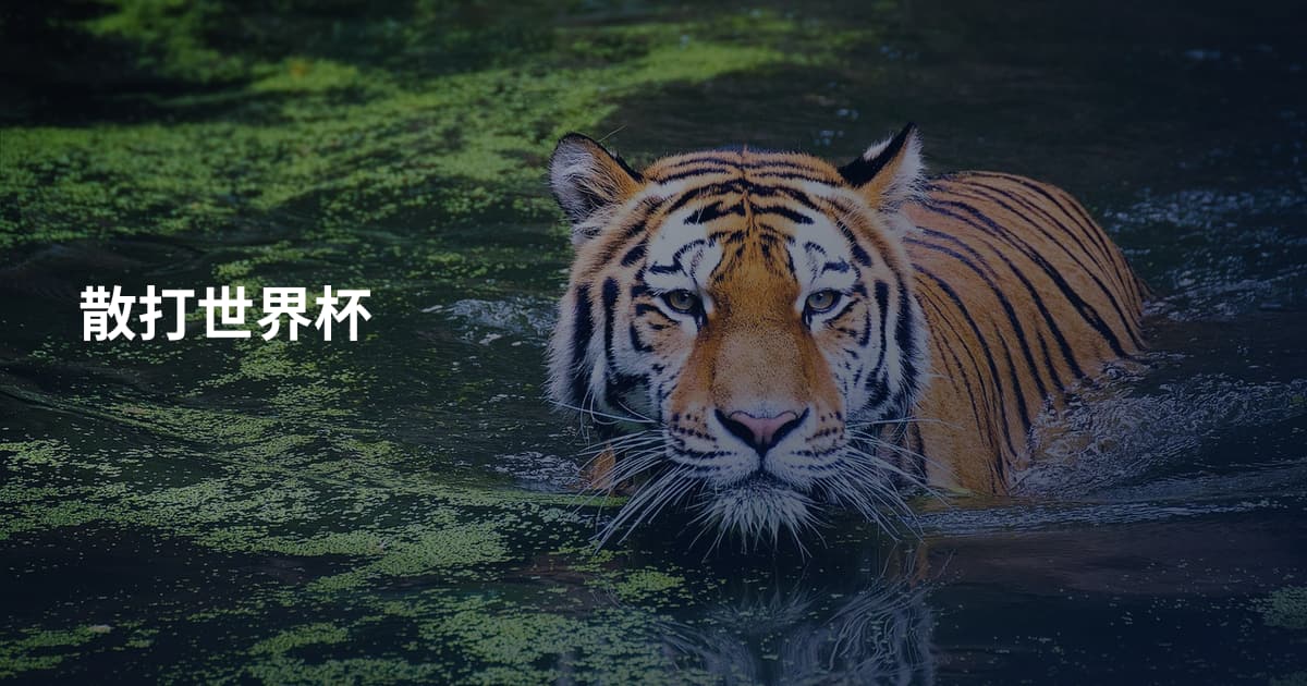 散打世界杯