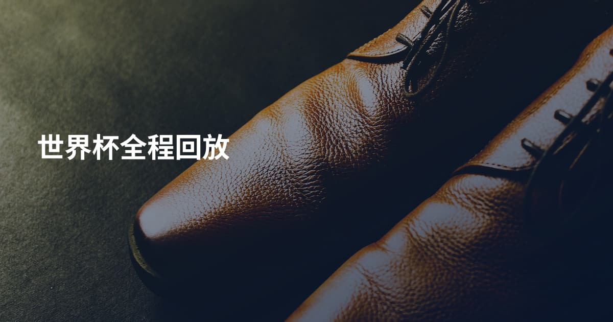 世界杯全程回放