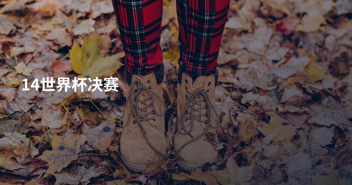 14世界杯决赛