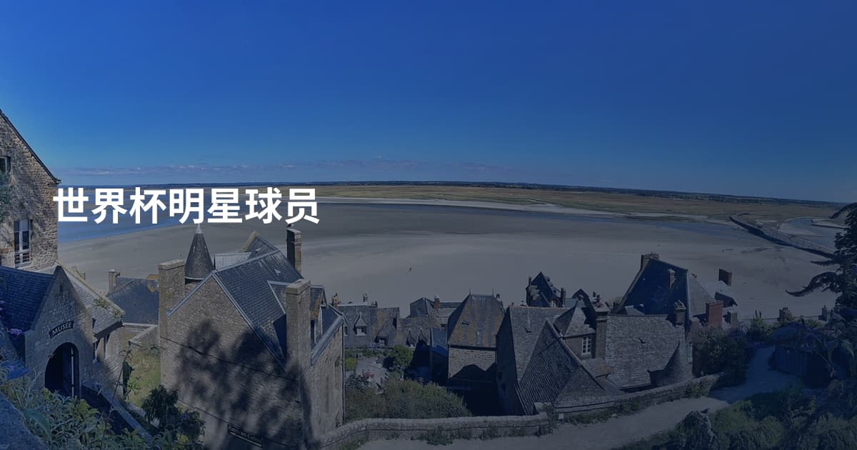 世界杯明星球员