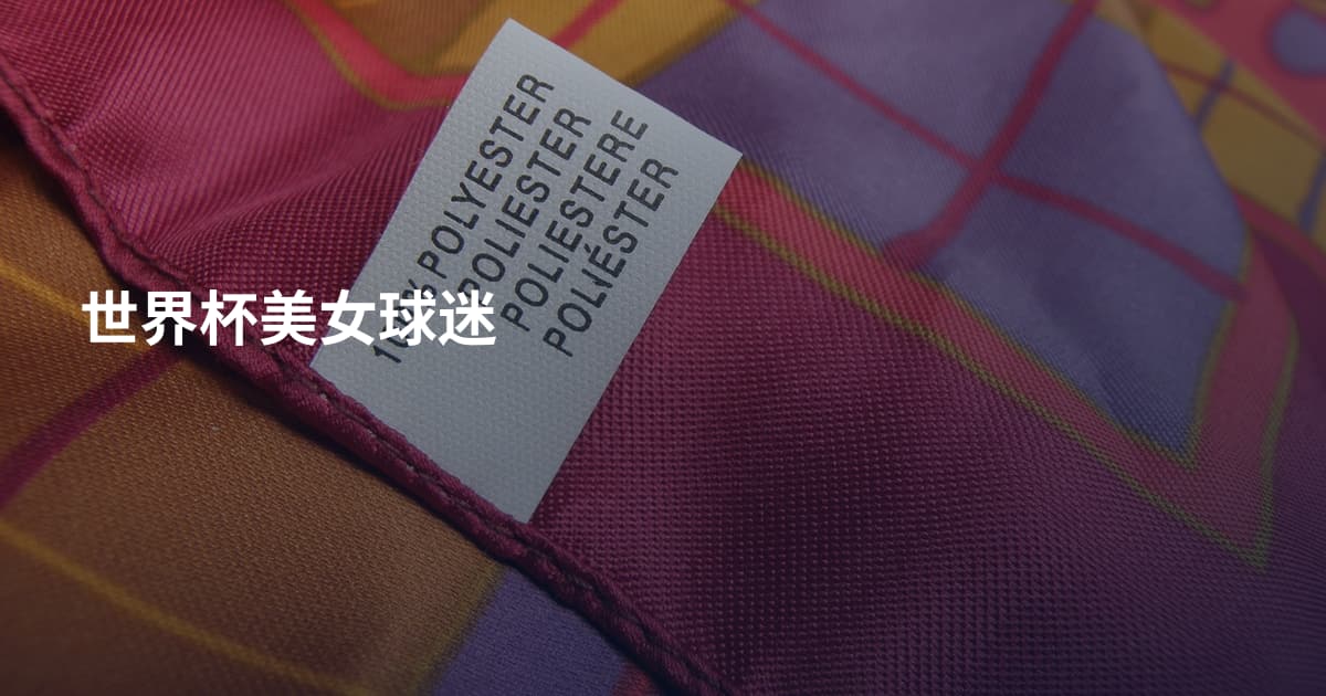 世界杯美女球迷