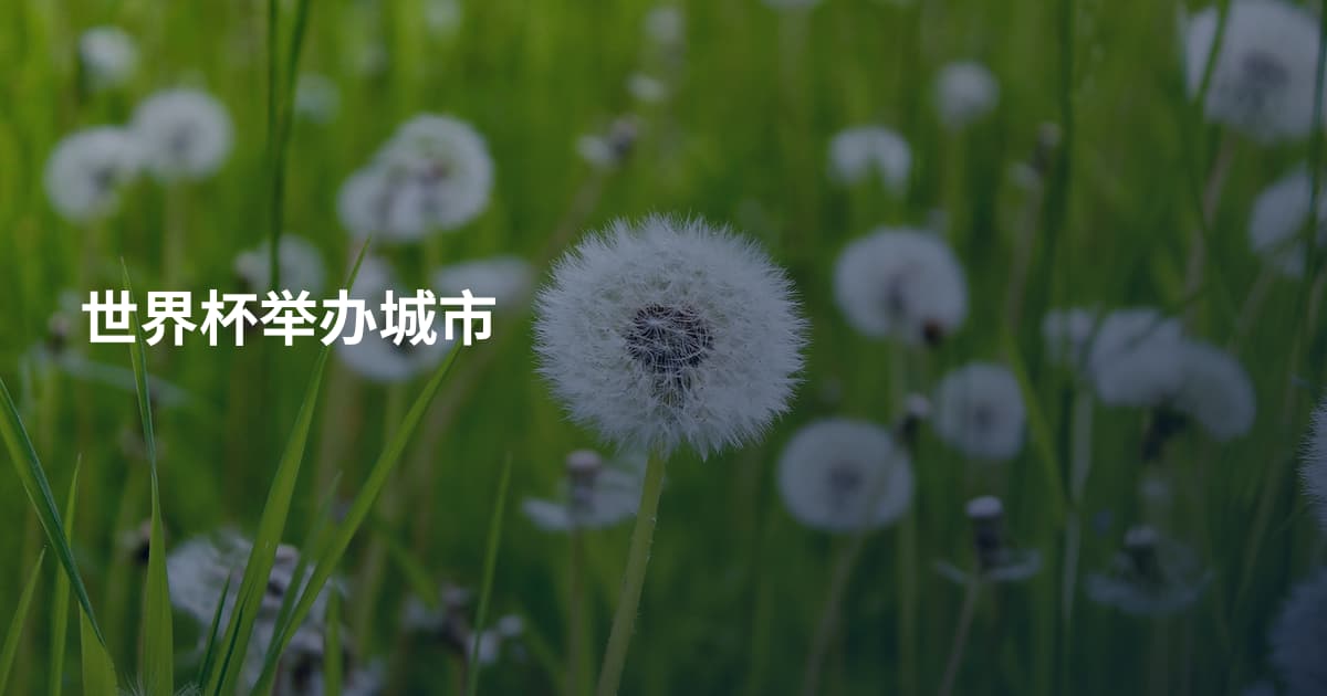 世界杯举办城市