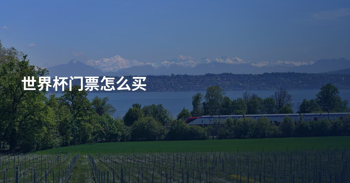 世界杯门票怎么买