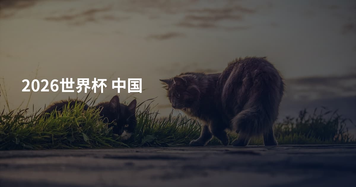 2026世界杯 中国