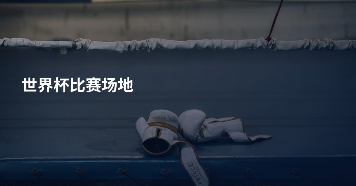 世界杯比赛场地