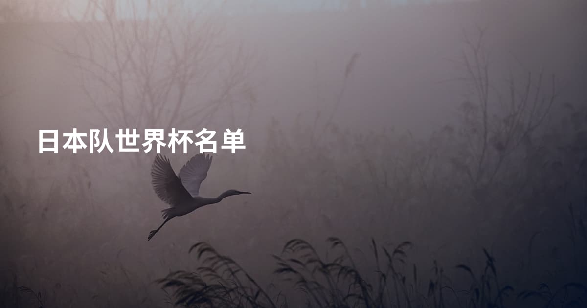 日本队世界杯名单