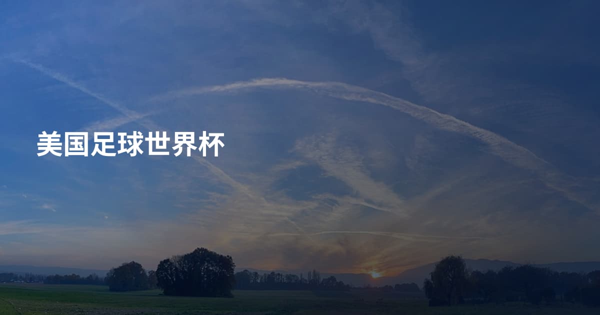 美国足球世界杯