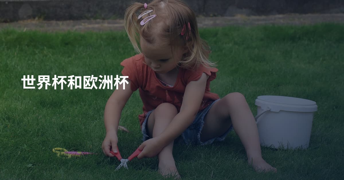 世界杯和欧洲杯