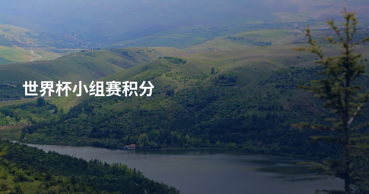 世界杯小组赛积分