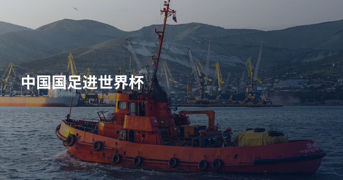 中国国足进世界杯