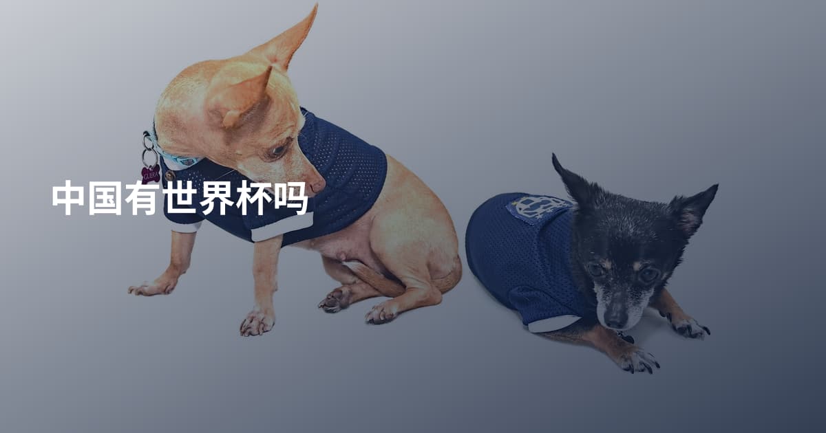 中国有世界杯吗