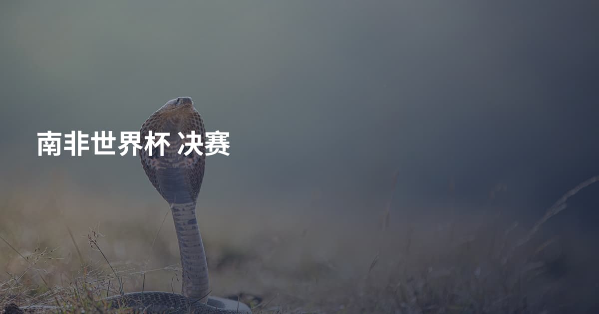南非世界杯 决赛