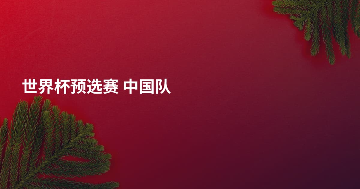 世界杯预选赛 中国队