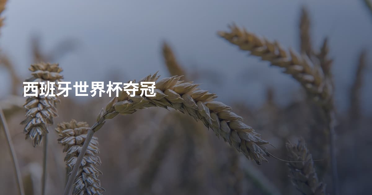 西班牙世界杯夺冠