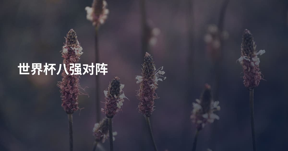 世界杯八强对阵