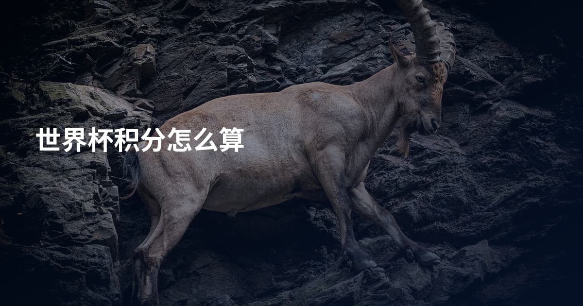 世界杯积分怎么算