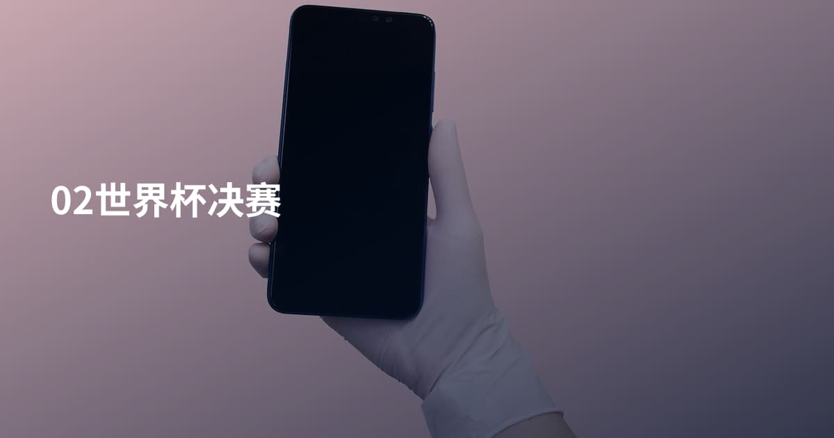 02世界杯决赛