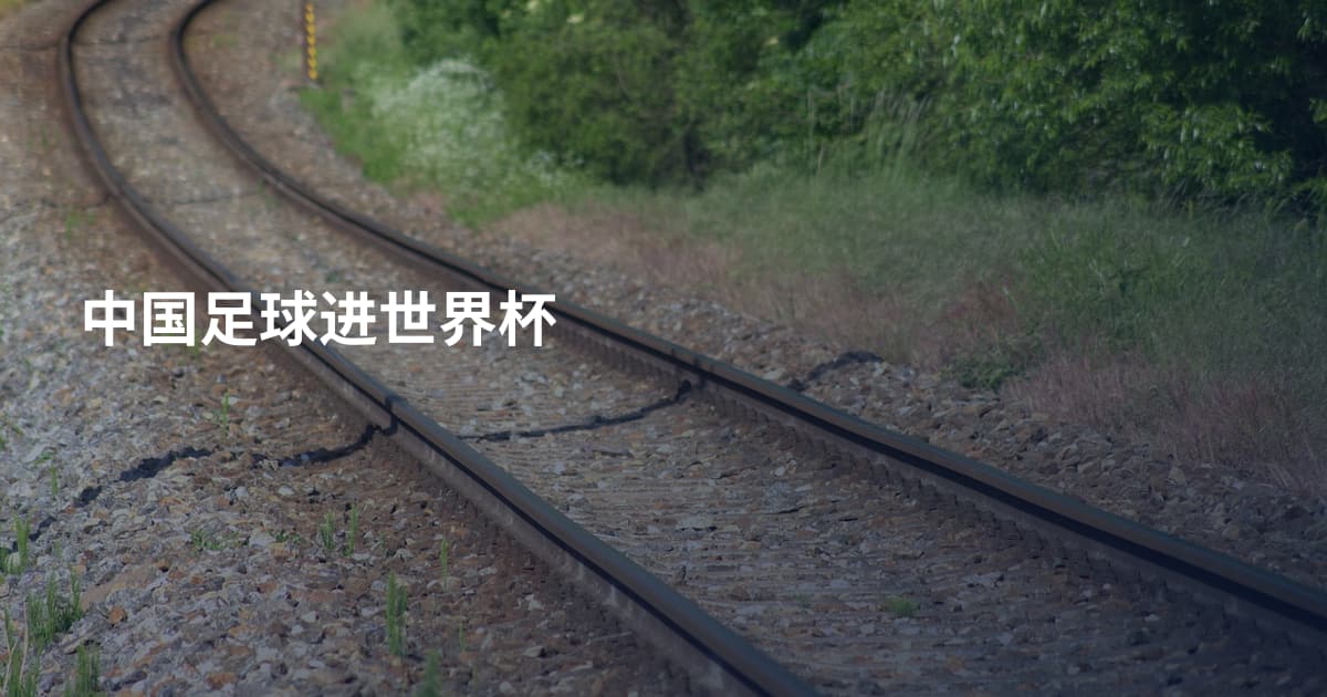 中国足球进世界杯