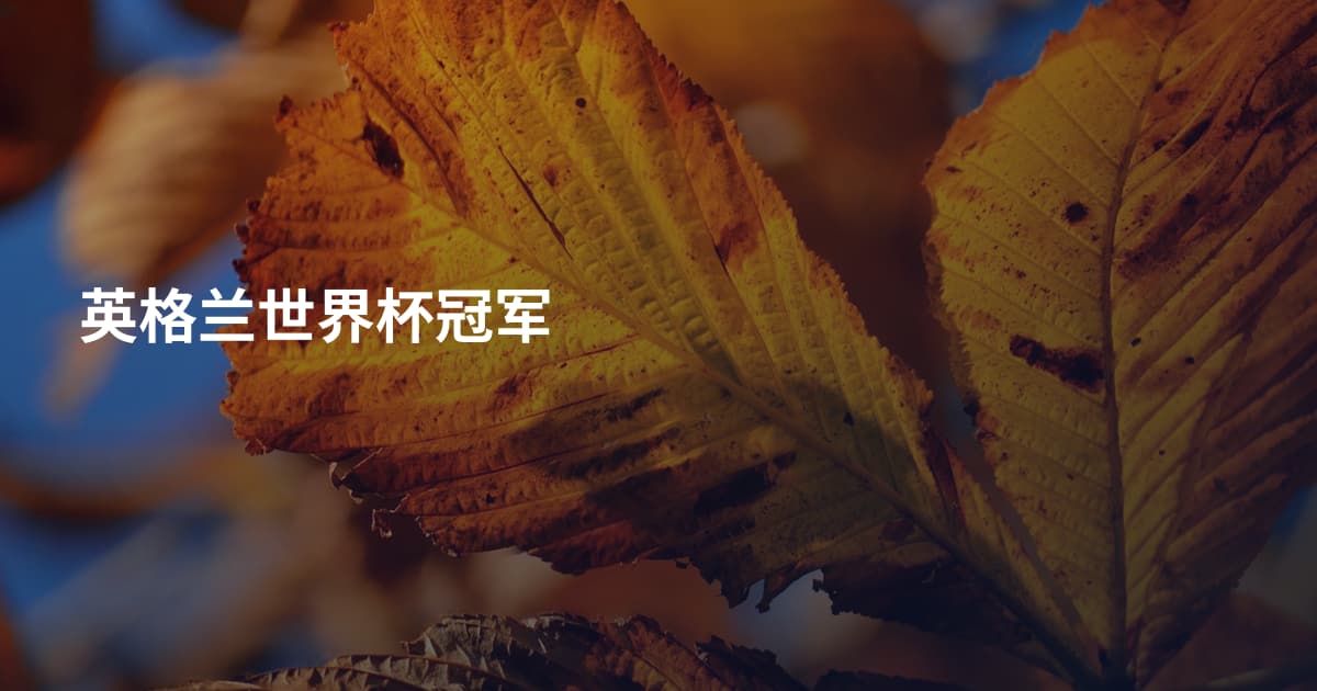 英格兰世界杯冠军
