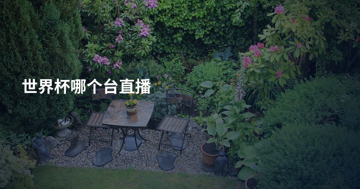 世界杯哪个台直播